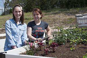 Healthy Gardens Student Volunteers