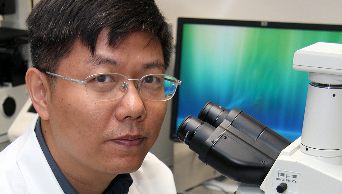 Dr. Lin Zhu researches in his lab at the Texas A&M Rangel College of Pharmacy