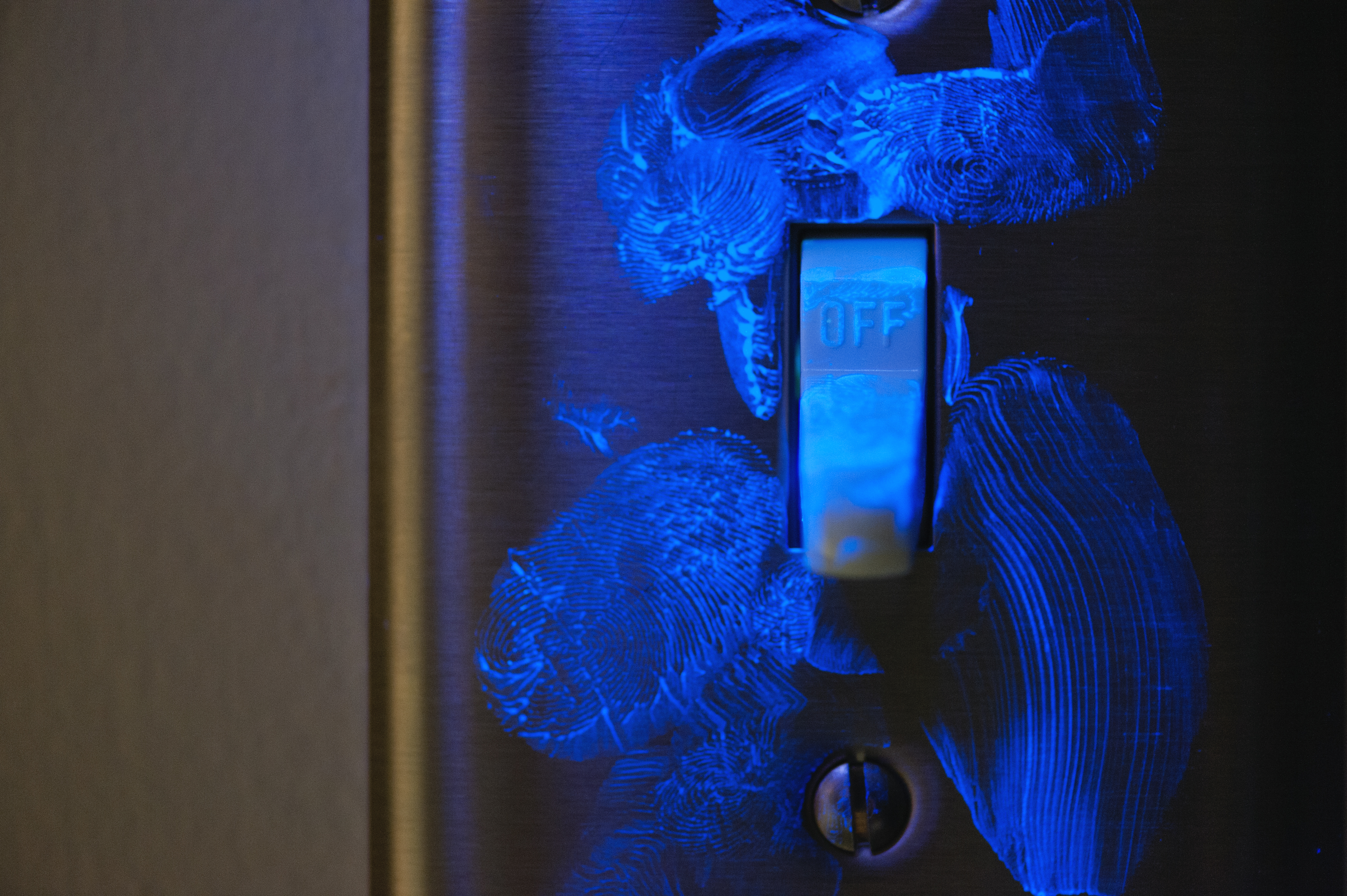 Germ infested light switch