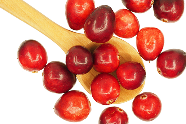 Cranberries sind von Natur aus sehr herb, also achten Sie darauf, keine mit Zuckerzusatz zu kaufen