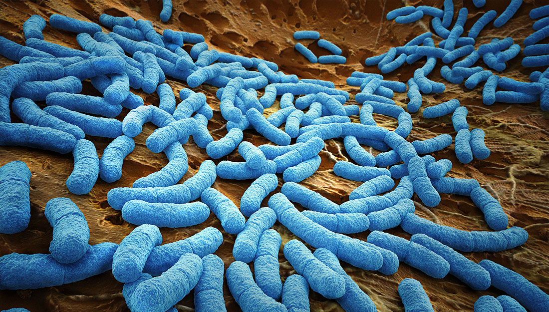 Hospital-acquired infections are both a cause of and contribute to antimicrobial resistance