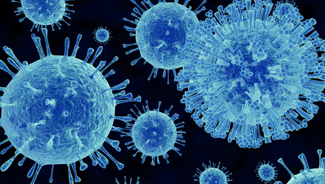 Fast Facts Norovirus Vital Record