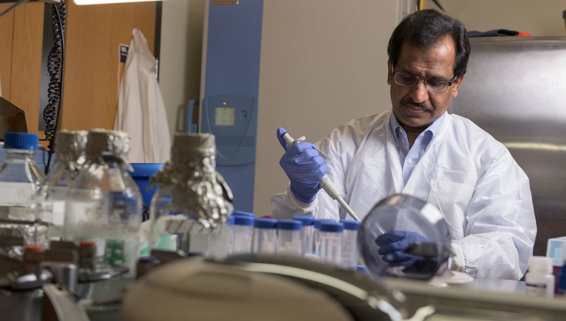 Ashok Shetty working in his laboratory