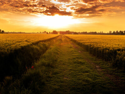 photo of sunset over a field looking onto a small town