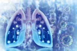 illustration of virus and bacteria in human lungs