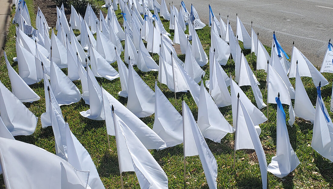 white flags marked with messages honoring covid victims in the Brazos Valley line grassy area