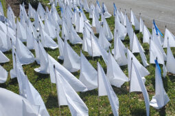white flags marked with messages honoring covid victims in the Brazos Valley line grassy area