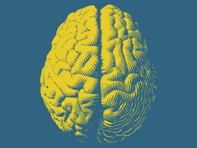 monochrome drawing of human brain
